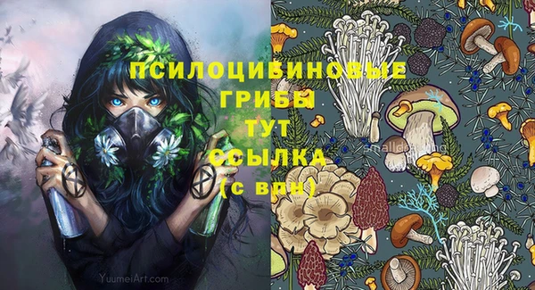 МДПВ Михайловка