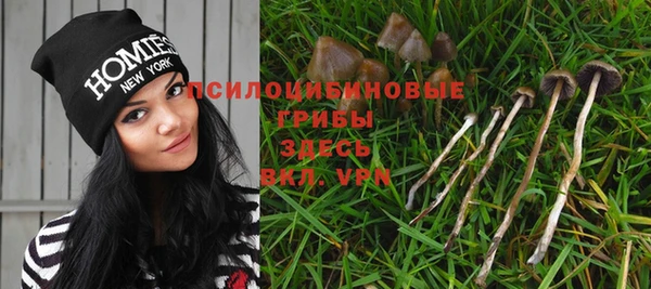 шишки Тихвин