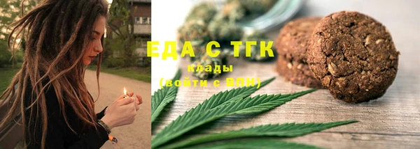 стаф Горняк