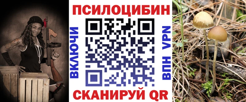 Псилоцибиновые грибы MAGIC MUSHROOMS  хочу наркоту  Ардатов 